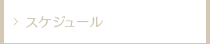 スケジュール